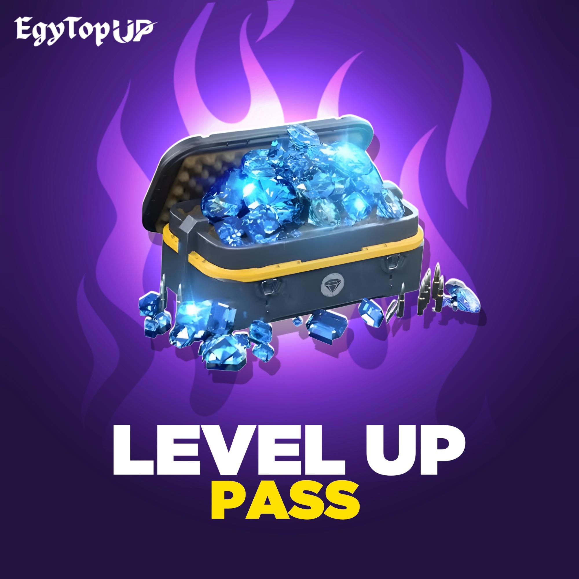 LEVEL UP PASS 